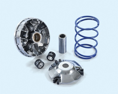 241 773 variatore - 241.773, polini