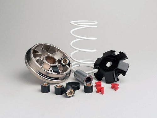 Variatore malossi peugeot - malossi,