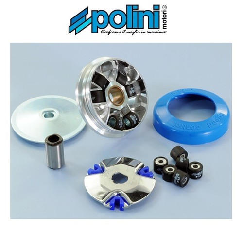 Polini 241 311 variatore - 241.311,