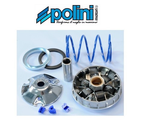 Polini 241 672 variatore - polini, 241.672